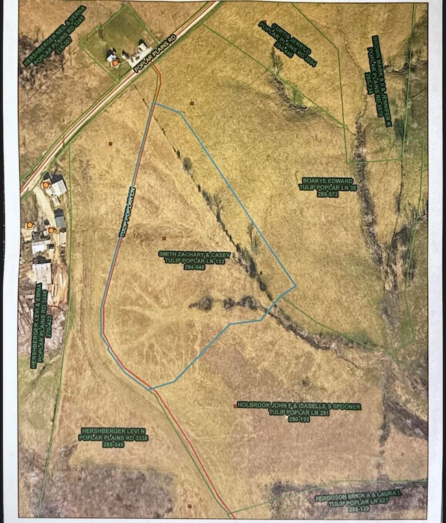 133 Tulip Poplar - Lot 5 Ln, Flemingsburg, KY 41041 - photo 3