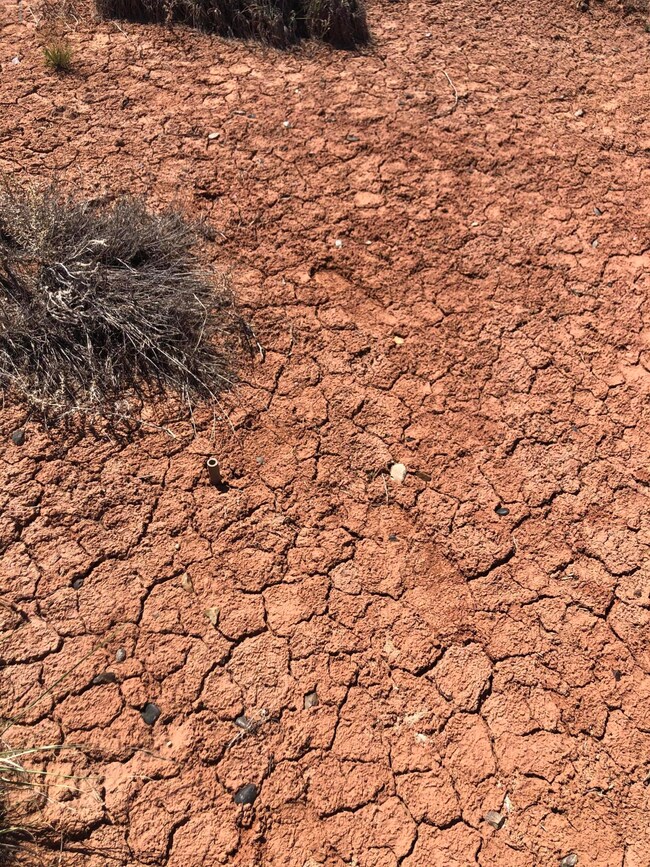 880 Marauder Rd, Winslow, AZ 86047 - photo 4