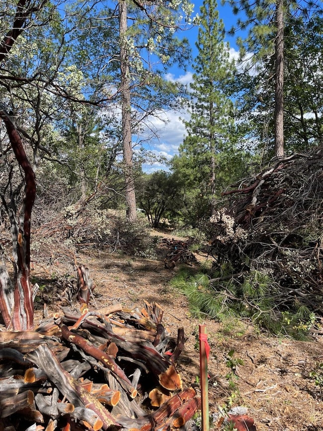 0 Loggers Trail, Colfax, CA 95713 - photo 6