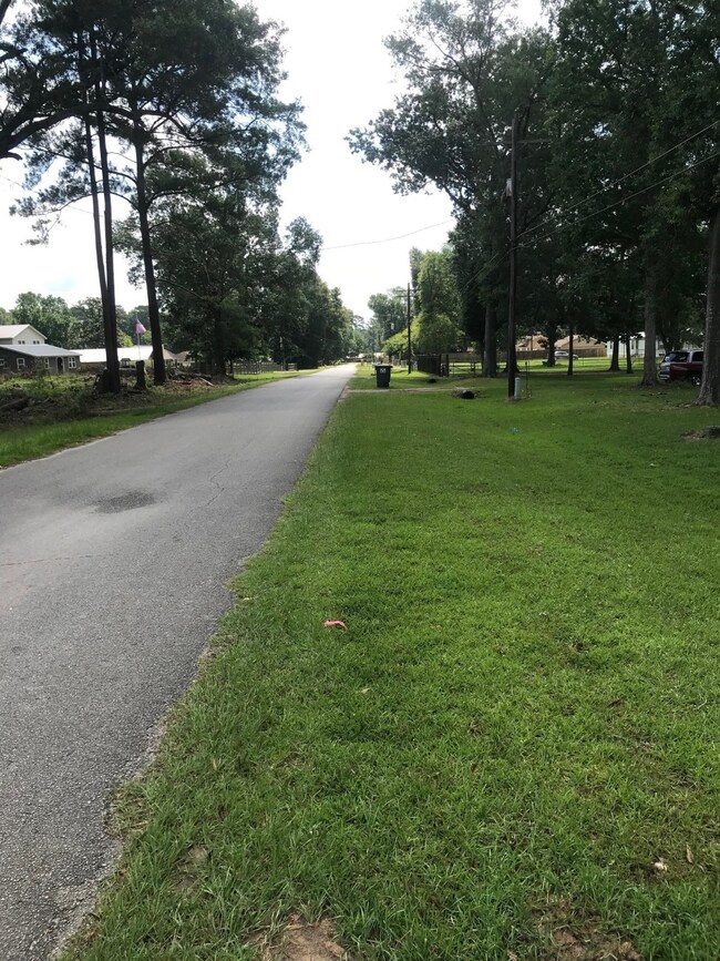 View of Bates Rd looking east from western property line
