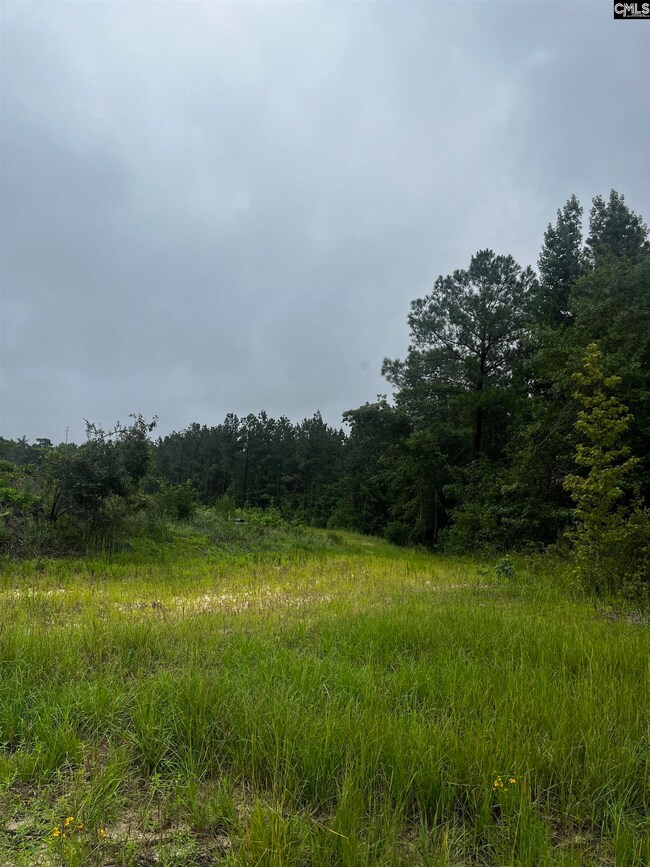 703 Neds Creek Rd, Kershaw, SC 29067 - photo 7