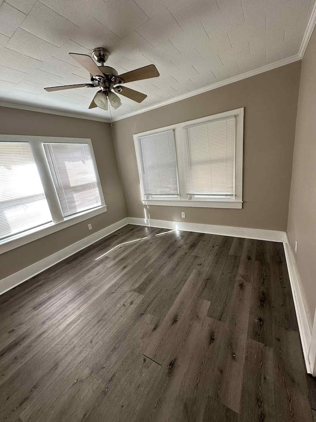 431 Columbus St, Houma, LA 70360 - photo 4