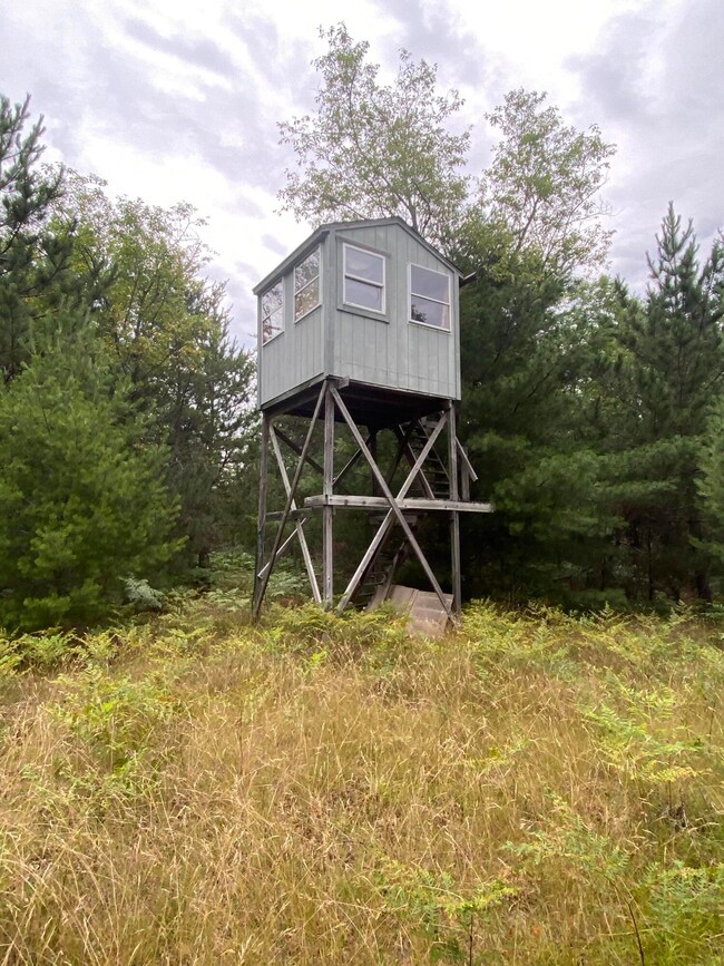 Hunting Blind
