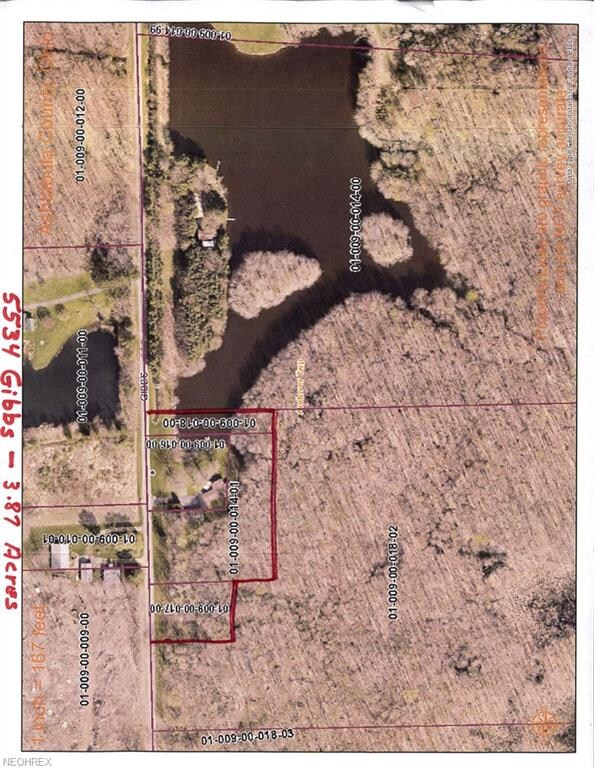 outlined is the 4 acres that this property sits on