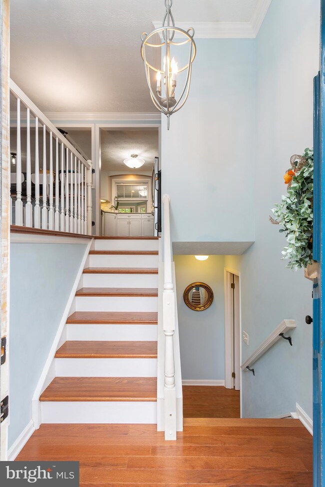 3061 Railroad Vine Ct, Fairfax, VA 22031 - photo 3