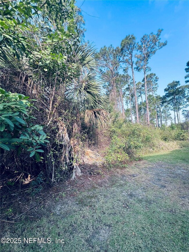 91 Emerald Lake Dr, Palm Coast, FL 32137 - photo 4