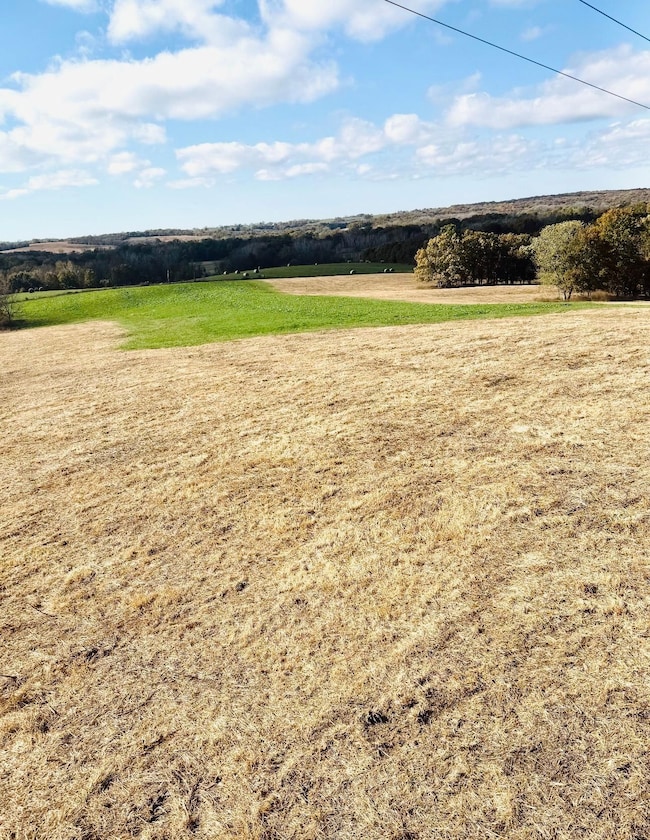 Diamond Dr, Milan, MO 63556 - photo 5