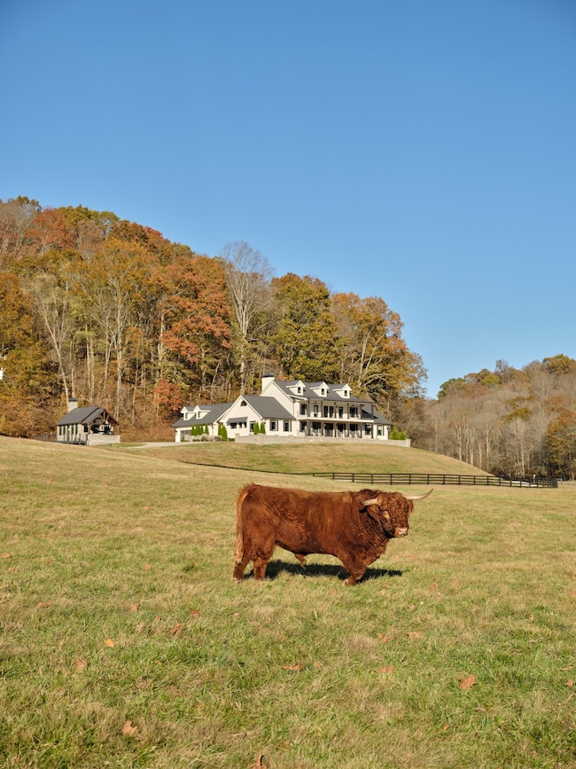 6677 Leipers Creek Rd, Columbia, TN 38401 - photo 2