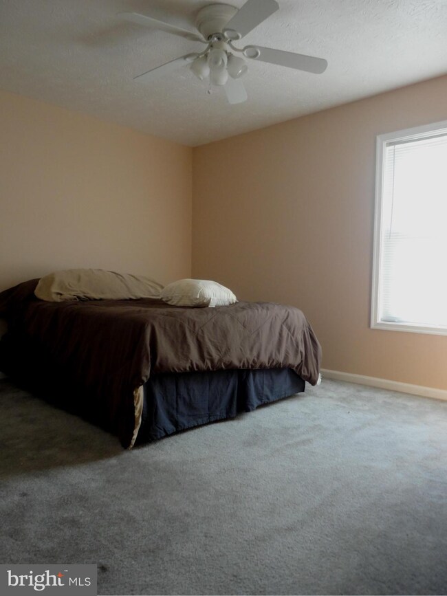 365 Leviticus Dr, Bunker Hill, WV 25413 - photo 3