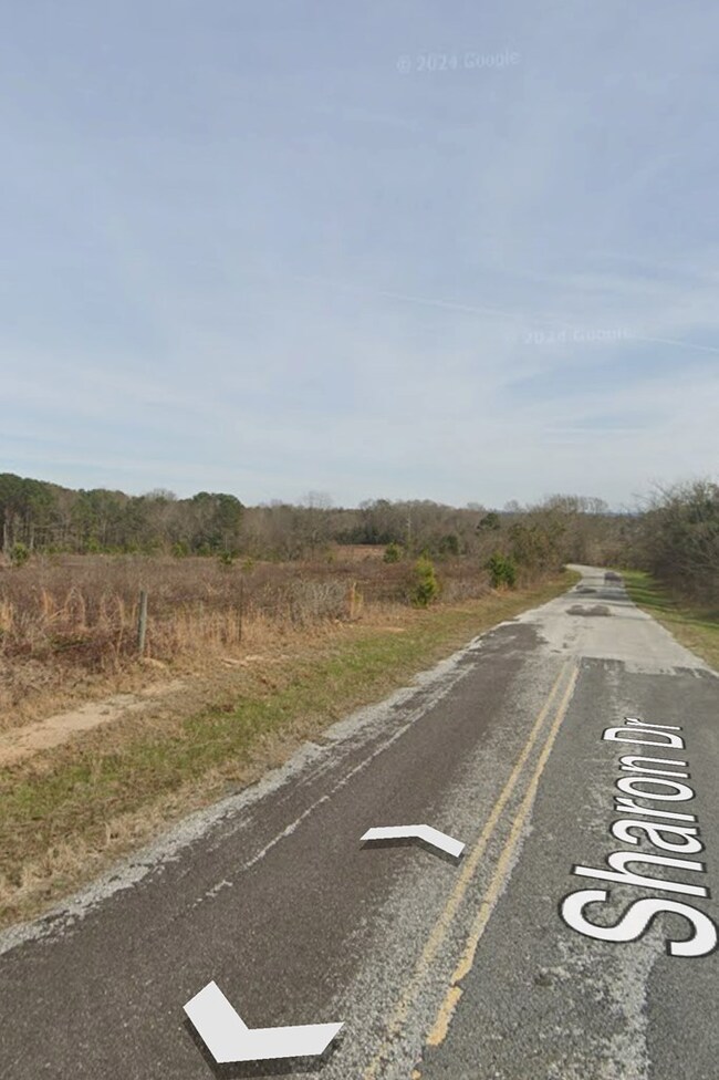 TBD Sharon Dr, Abbeville, AL 36310 - photo 4