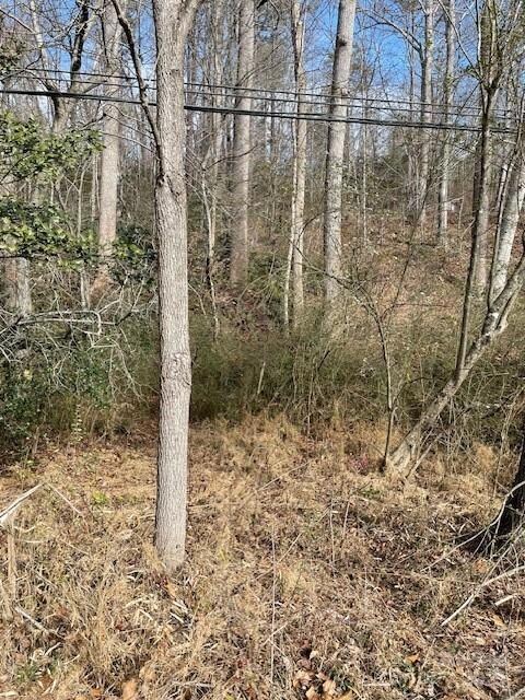 Off Highway 70 E, Old Fort, NC 28762 - photo 5