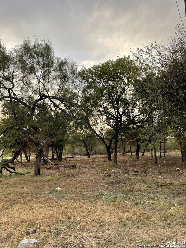 000 Riggs Rd, Helotes, TX 78023 - photo 7