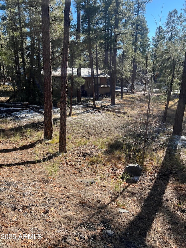 800 E Reindeer Dr, Munds Park, AZ 86017 - photo 5