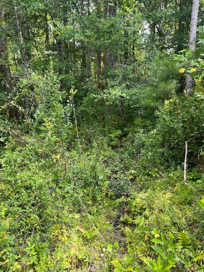 BFF 5 Brunson Teal Rd unit BFF 5, Chester, SC 29584 - photo 2