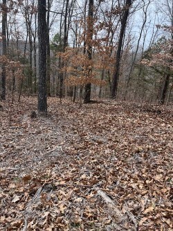 0 Pickering Dr unit 1266766, Bella Vista, AR 72714 - photo 2