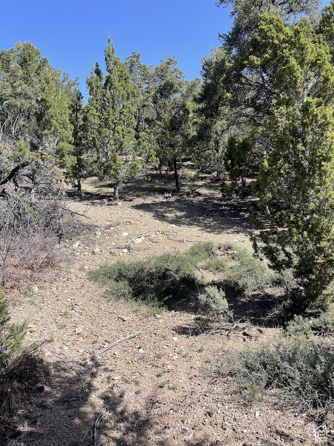 292 U S Highway 89 unit 12, Fairview, UT 84629 - photo 7