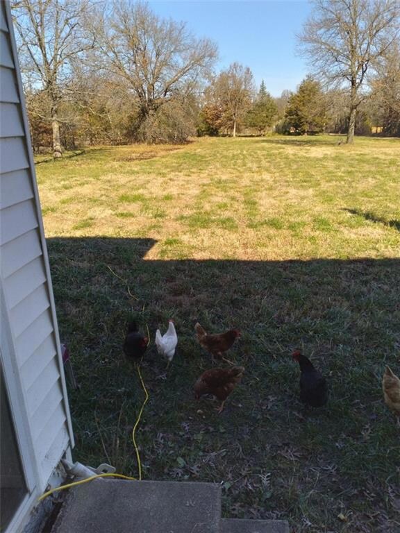 4401 Main St, Parsons, KS 67357 - photo 6