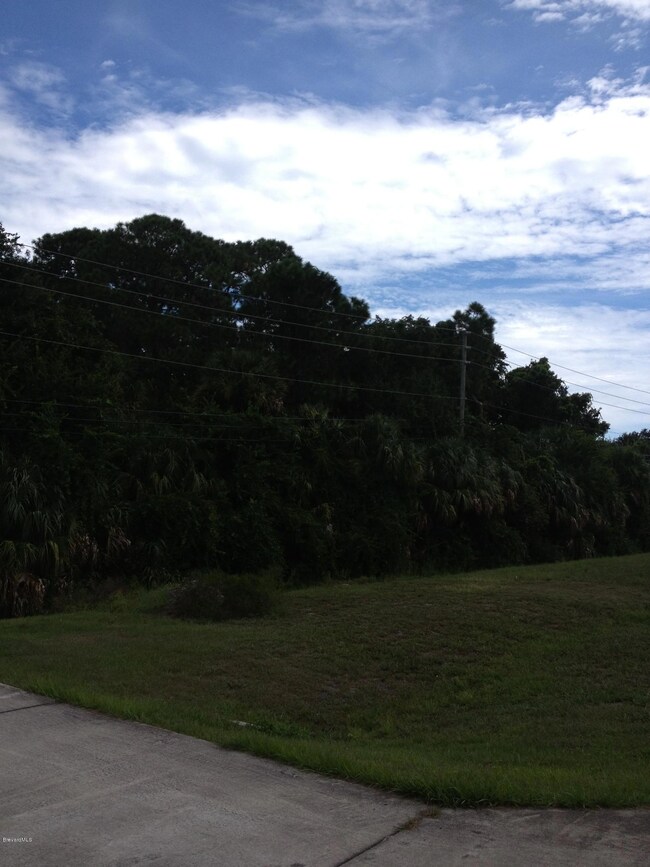 photo1
