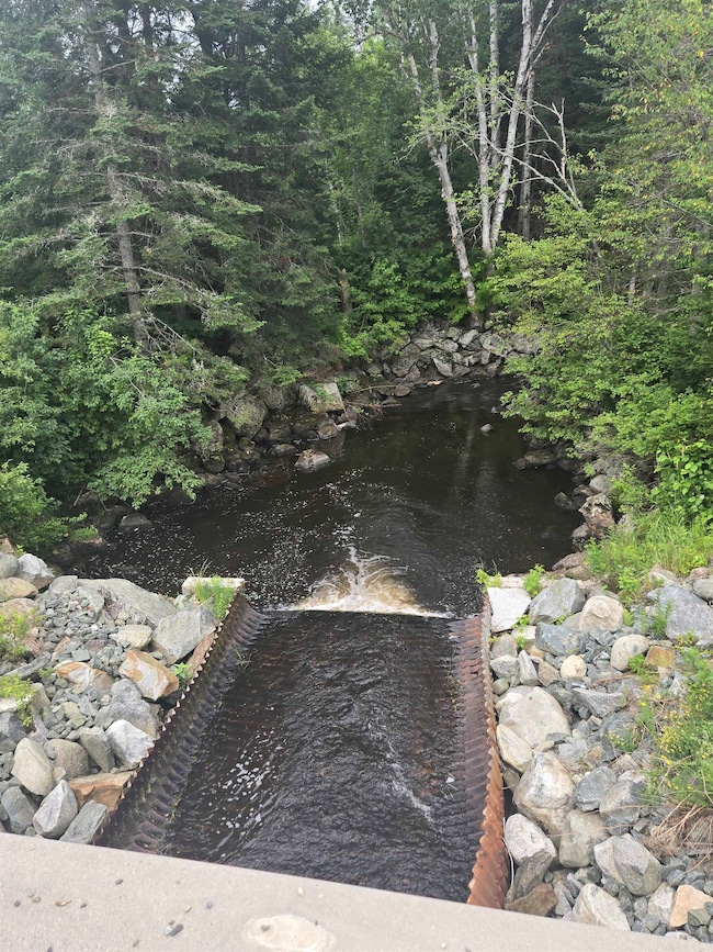 240 Hazen Rd, Whitefield, NH 03598 - photo 2