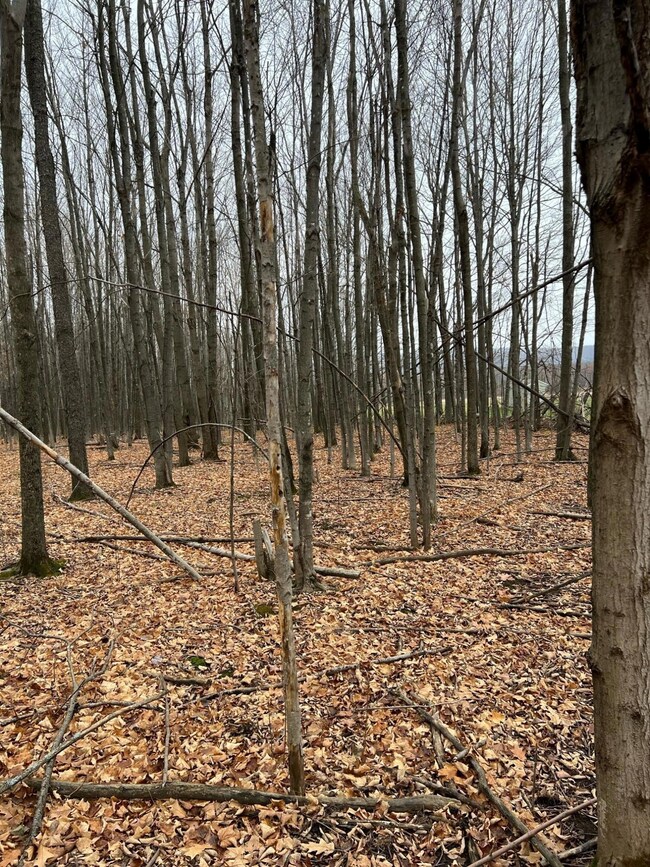 400611259_727113189446068_72845224396135