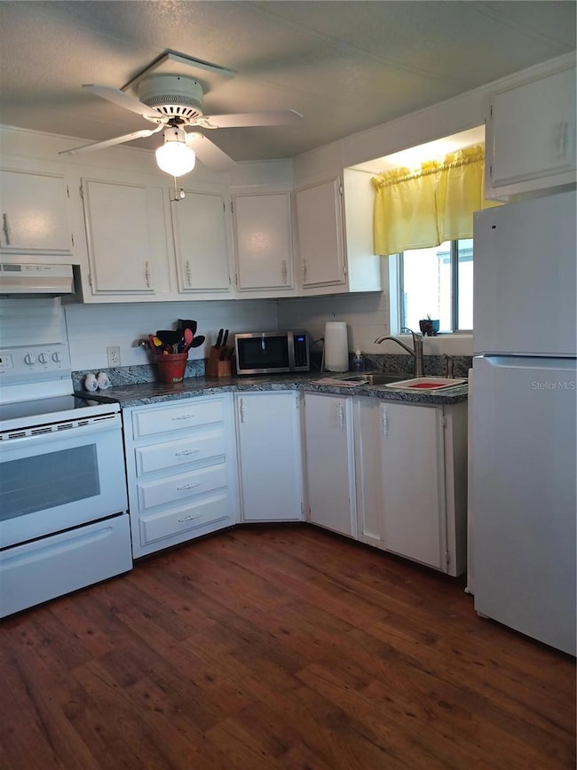 34620 Sweetpea Ln, Zephyrhills, FL 33541 - photo 4