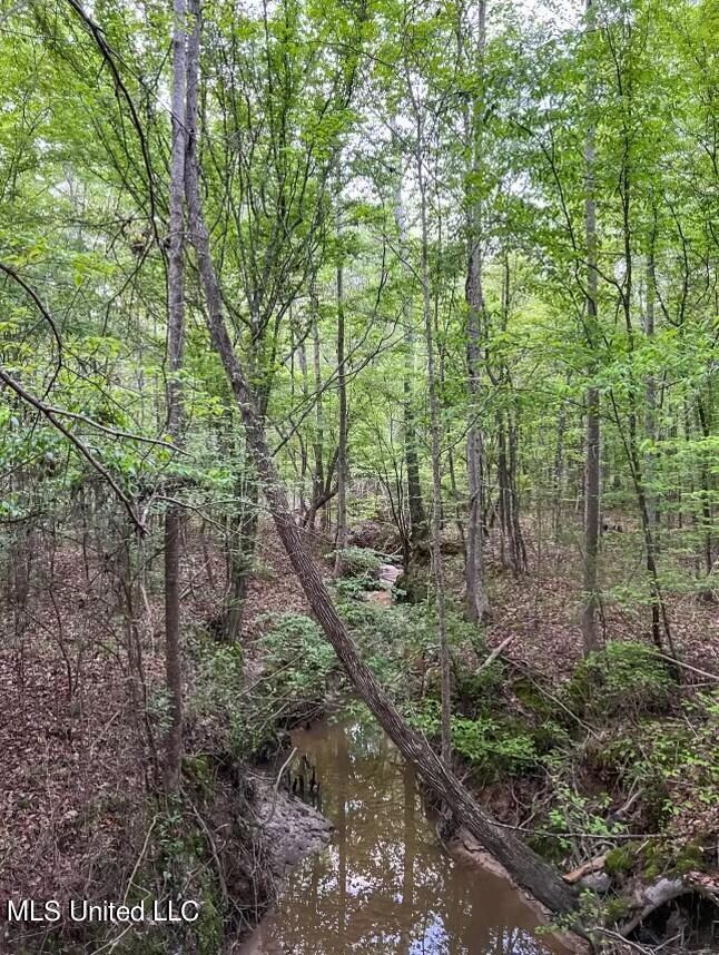 00 Ashley Rd, Brandon, MS 39042 - photo 4