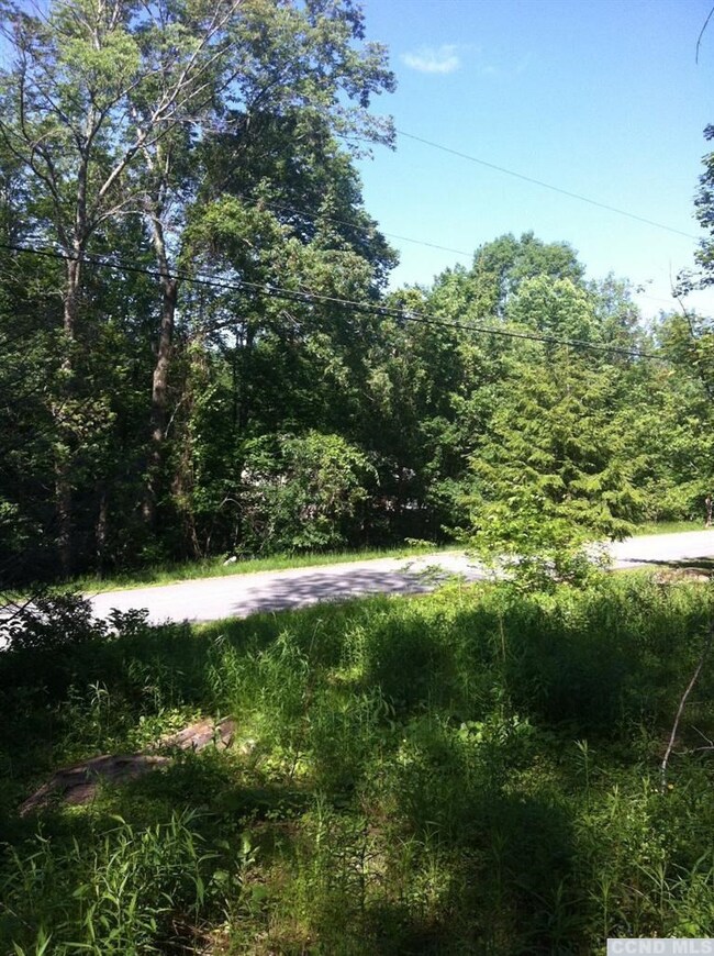 71 Hunter Ln, Hunter, NY 12492 - photo 3