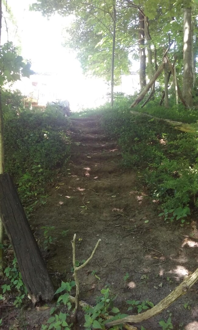 Wooded Path to creek