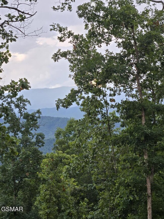 Lot 3 Shell Mountain Rd, Sevierville, TN 37876 - photo 6