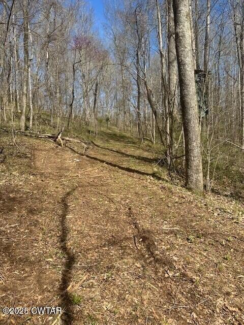 4489 Spring Creek Rd, Lavinia, TN 38348 - photo 7