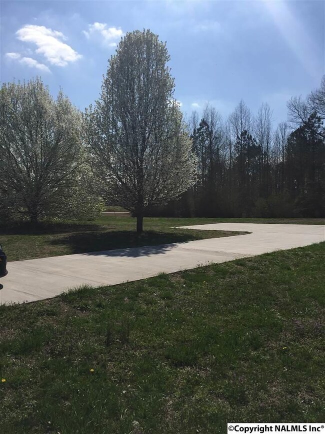 2003 Randle Rd, Grant, AL 35747 - photo 4