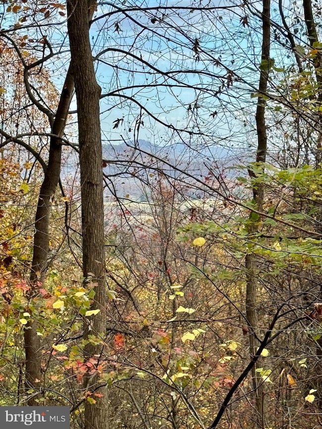 0 Woodlands Dr unit VARP2001854, Flint Hill, VA 22627 - photo 3