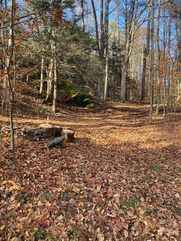 0 Maxwell Rd unit 73272836, Charlemont, MA 01339 - photo 2