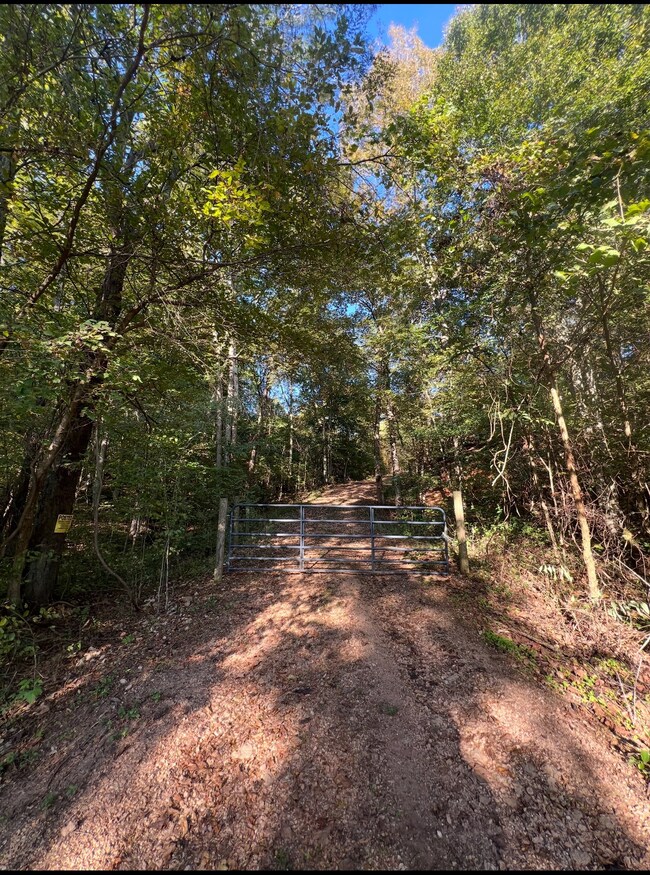 0 Allens Creek Rd unit RTC3007283, Hohenwald, TN 38462 - photo 5