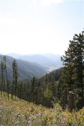 8863 Wallace Creek Rd, Clinton, MT 59825 - photo 6