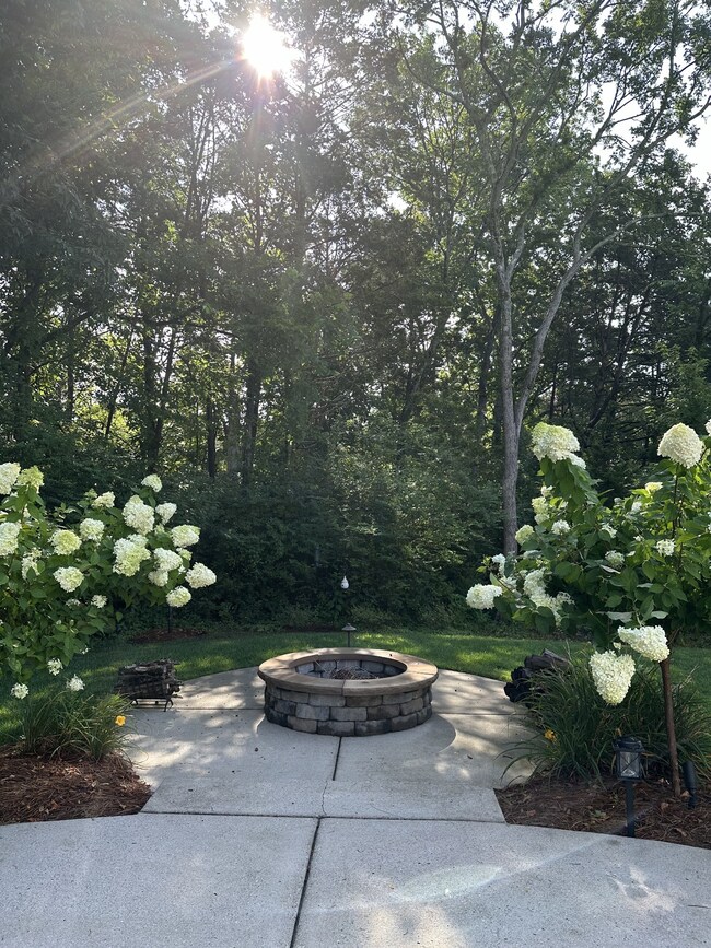 238 Caroline Way, Mount Juliet, TN 37122 - photo 3