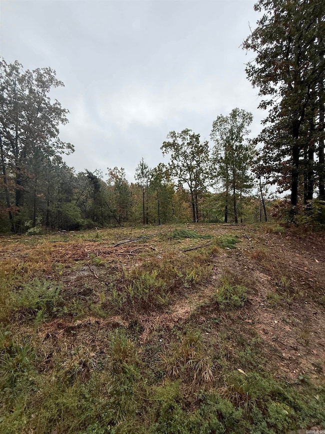 000 Palos Verdes Dr, Hot Springs, AR 71913 - photo 5