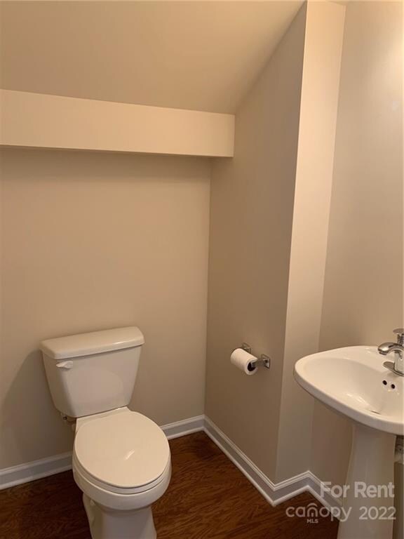 19847 Lamp Lighters Way, Cornelius, NC 28031 - photo 7