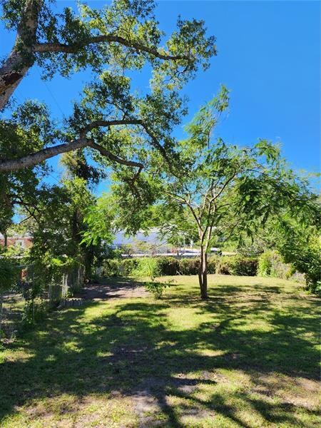 16 N Evergreen Ave, Clearwater, FL 33755 - photo 4