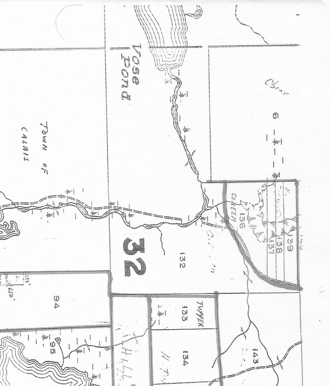 Dineen Property lots 137-138-139
