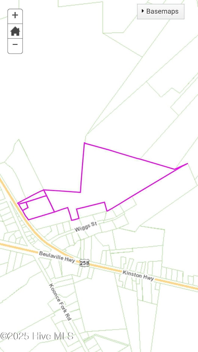 Kinston Hwy - 4 parcels