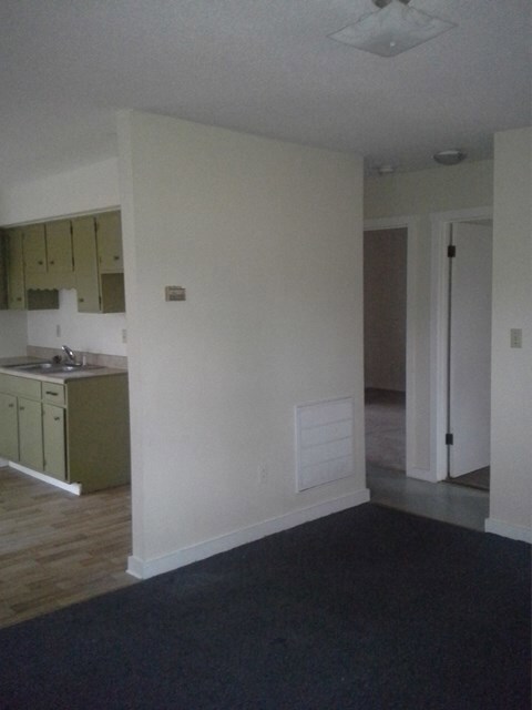 1205 W 10th St, Roanoke Rapids, NC 27870 - photo 4