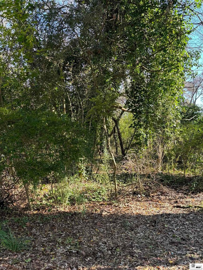 Lots 2, 3, 8 E 9th St, Jonesboro, LA 71251 - photo 4