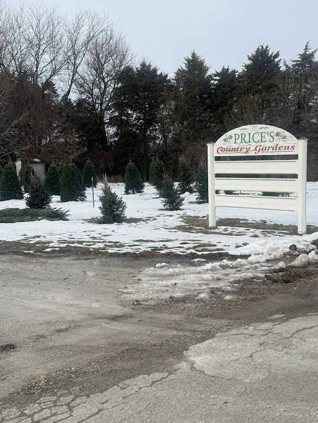 517 Grand Ave, Roodhouse, IL 62082 - photo 3