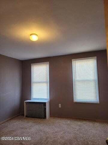 1253 W Arch St unit 1255, Coal Township, PA 17866 - photo 7