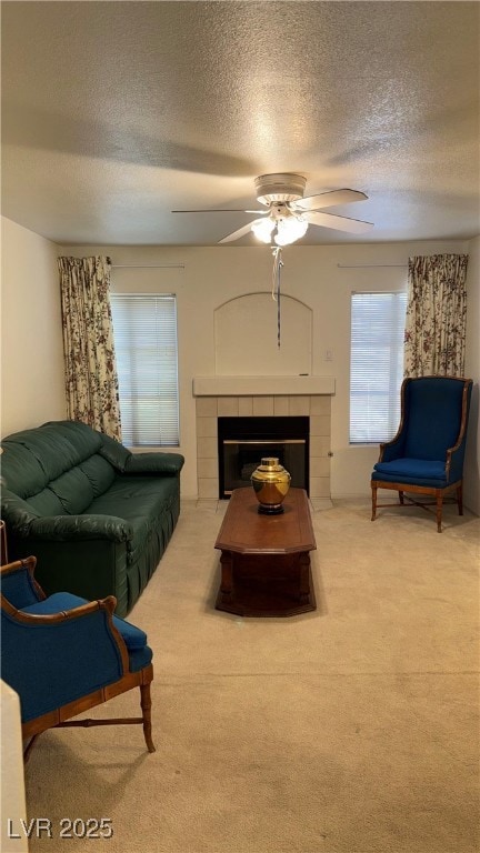 Carpeted living area with a textured ceiling, ceil