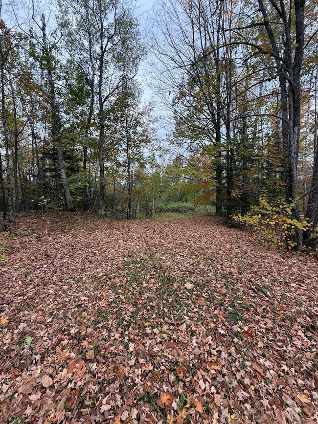 LOT 2 Birch Ln, Nashville, WI 54465 - photo 7