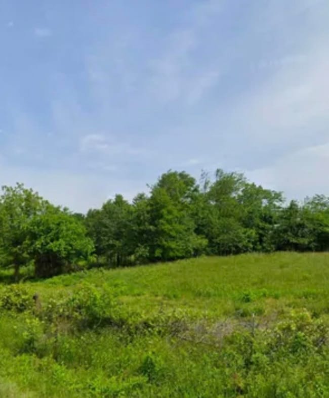 0 Carolina Ridge Road (Lots 10 & 11) unit SPN331255, Gaffney, SC 29341 - photo 3