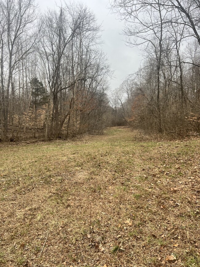 0 Highway 12 N unit RTC2486974, Ashland City, TN 37015 - photo 7