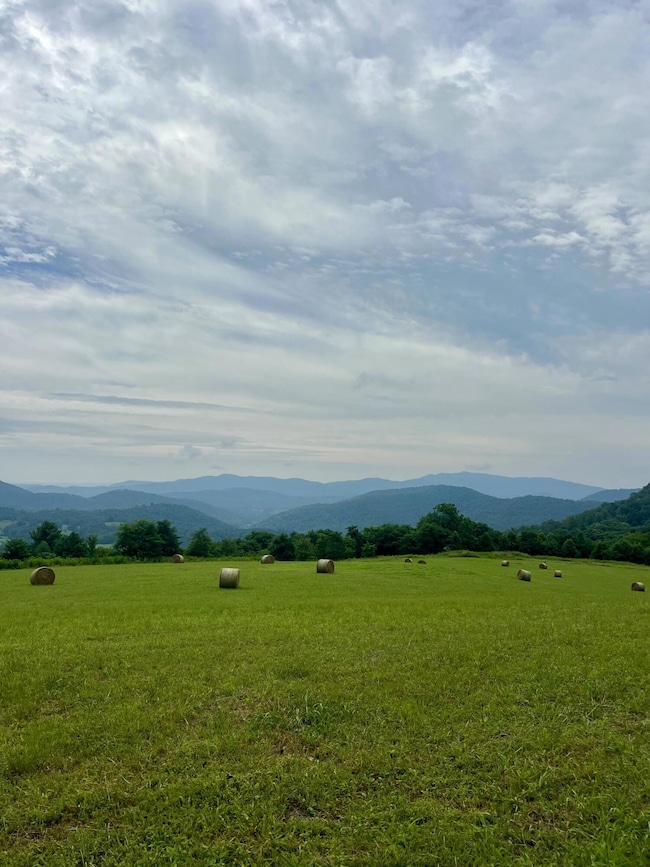 TBD Lexington Turnpike, Amherst, VA 24521 - photo 2